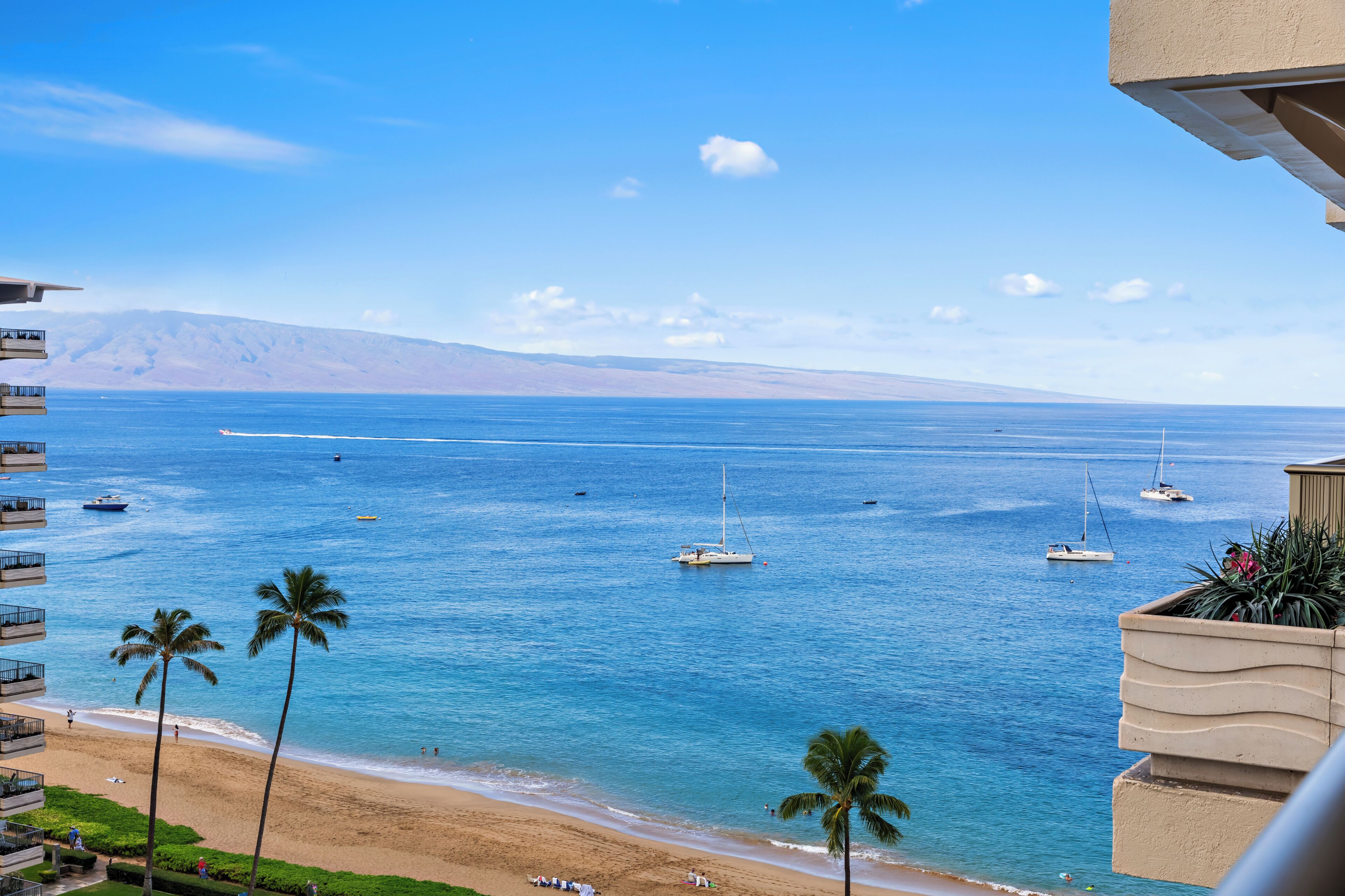 A beach view with clear blue water, palm trees, and boats.