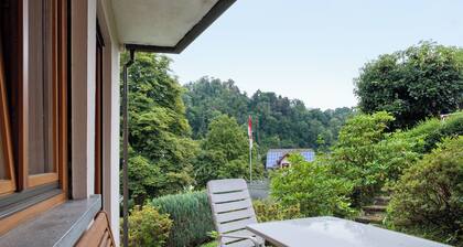 Apartment 'Joos' mit gemeinsamer Terrasse, gemeinsamem Garten und WLAN