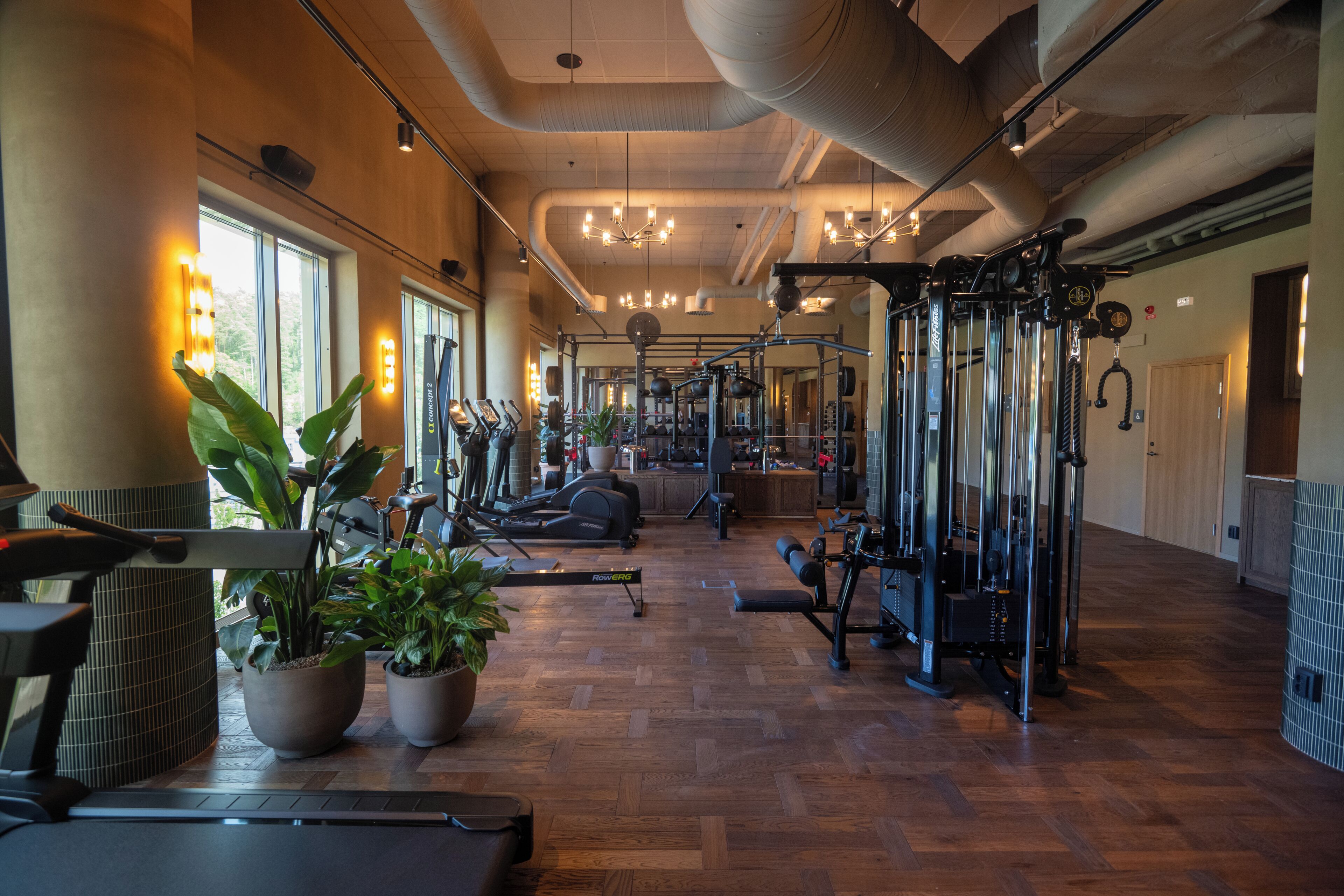A gym with exercise equipment, potted plants, and large windows.