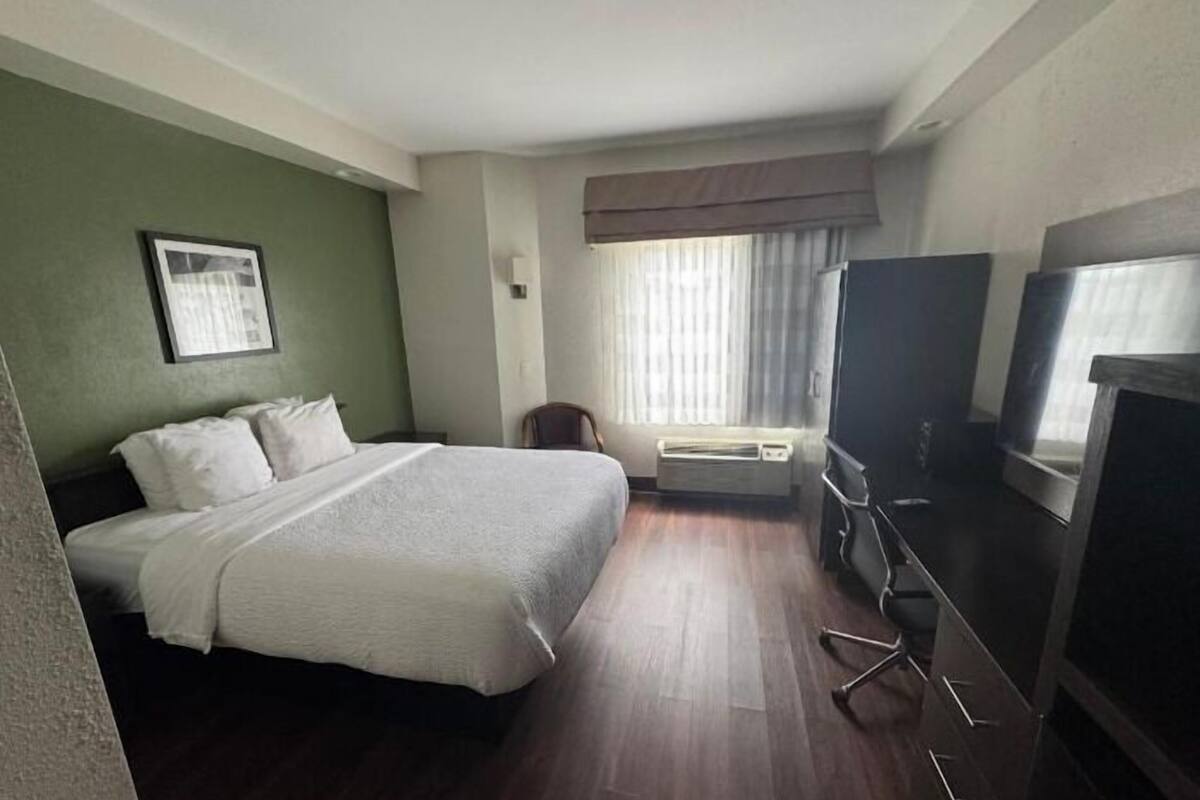 Basic Single Room | Premium bedding, Select Comfort beds, in-room safe, desk