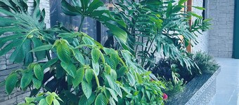 New Condo • Arenal Volcano View • Shared Pool • Workspace • 5 Guests