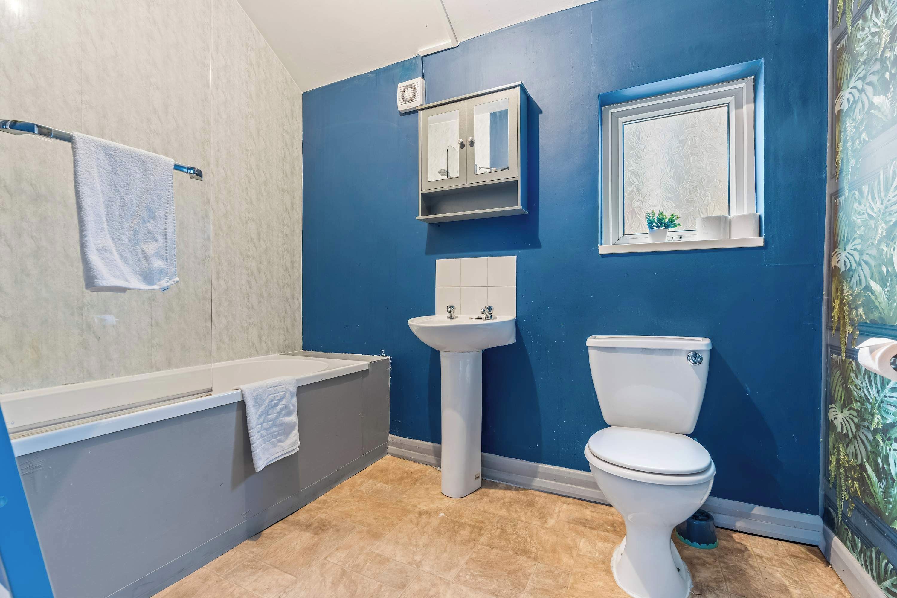 Suihku, hiustenkuivaaja