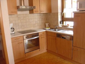 Fridge, oven, stovetop, dishwasher