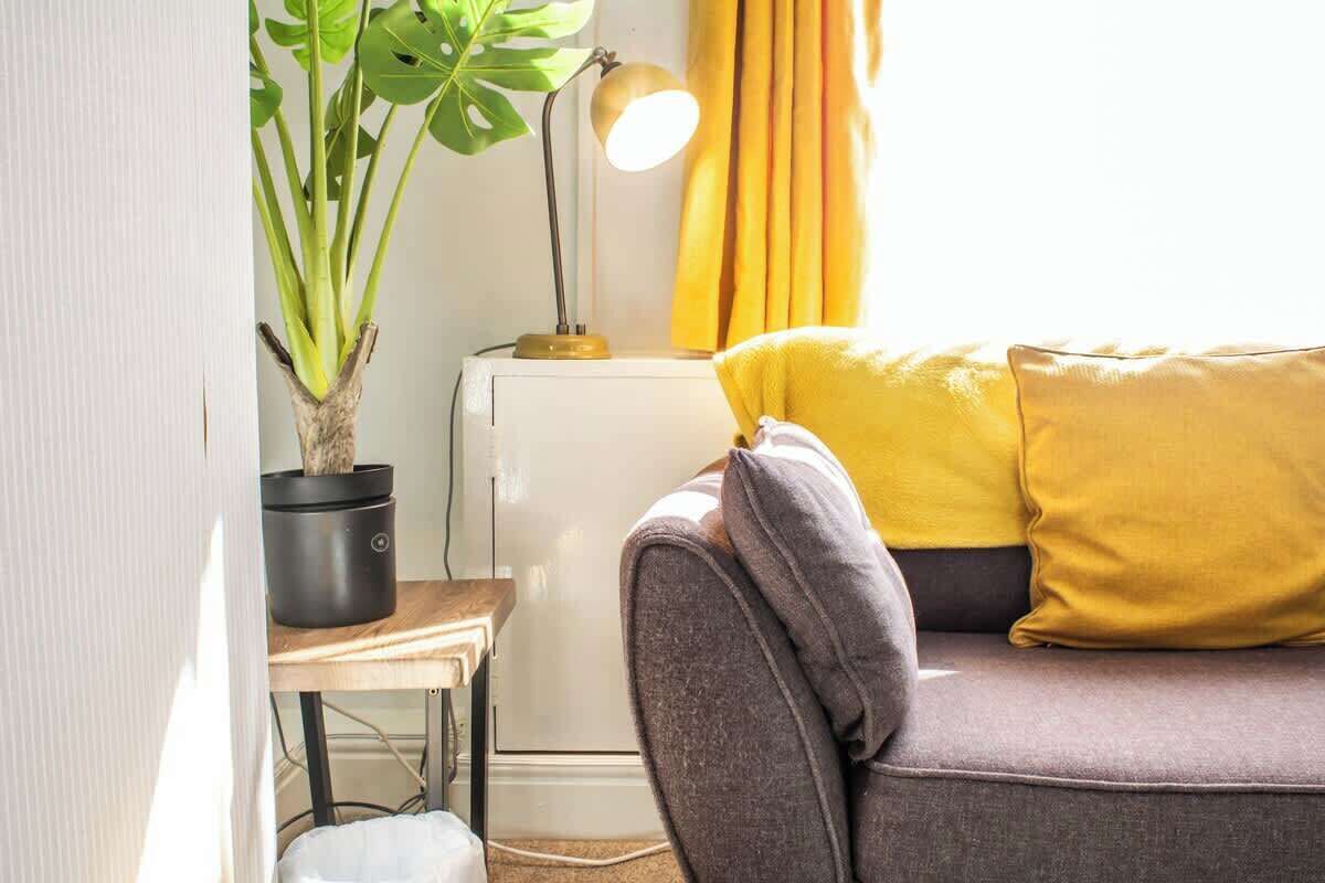 A cozy living area with a sofa, a small table, a potted plant, and a lamp.
