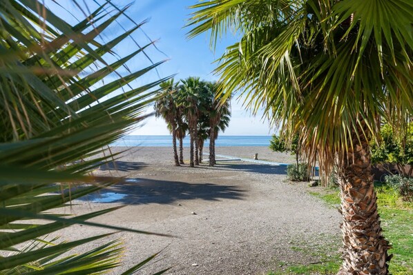 A gravel path leading to a beach with palm trees and a clear view of the ocean.