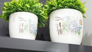 Two white ceramic pots with green plants on a black shelf. - Arion apartment (Athina)