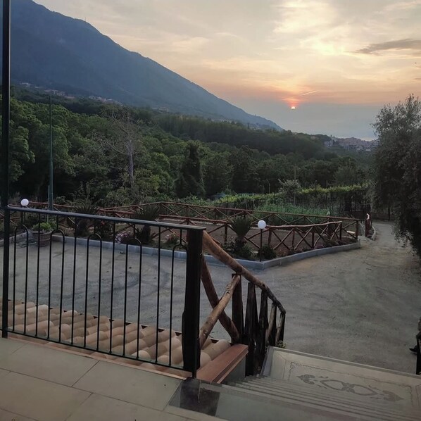 Áreas de la propiedad