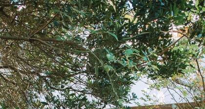 Spacious 4-bedroom villa