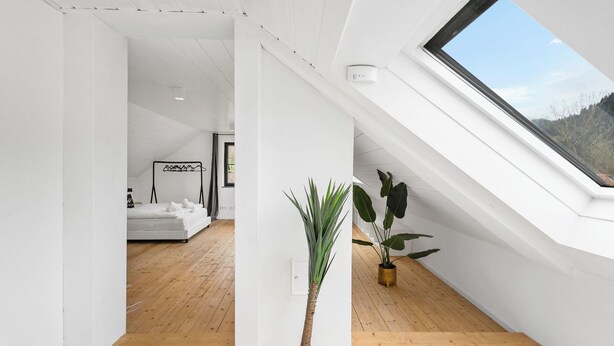 A modern interior with a sloped ceiling, a skylight, a potted plant, and a bed in the background. - Spacious Allgäu loft | maisonette style (Nesselwang)