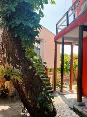 Exterior - Morada Cacauera (Itacare)