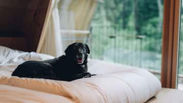 A black dog lying on a bed with a white pillow and a beige blanket.