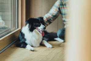 Bureau, Wi-Fi gratuit, draps fournis