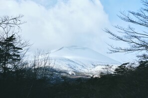 Vue sur la campagne depuis l’hébergement