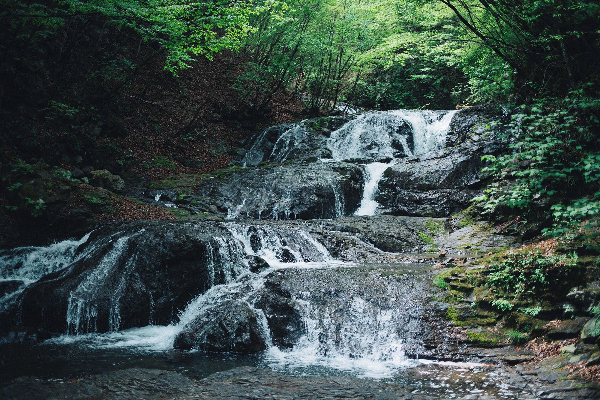 Una cascada de varios niveles en un área boscosa.
