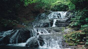 Una cascada de varios niveles en un área boscosa.