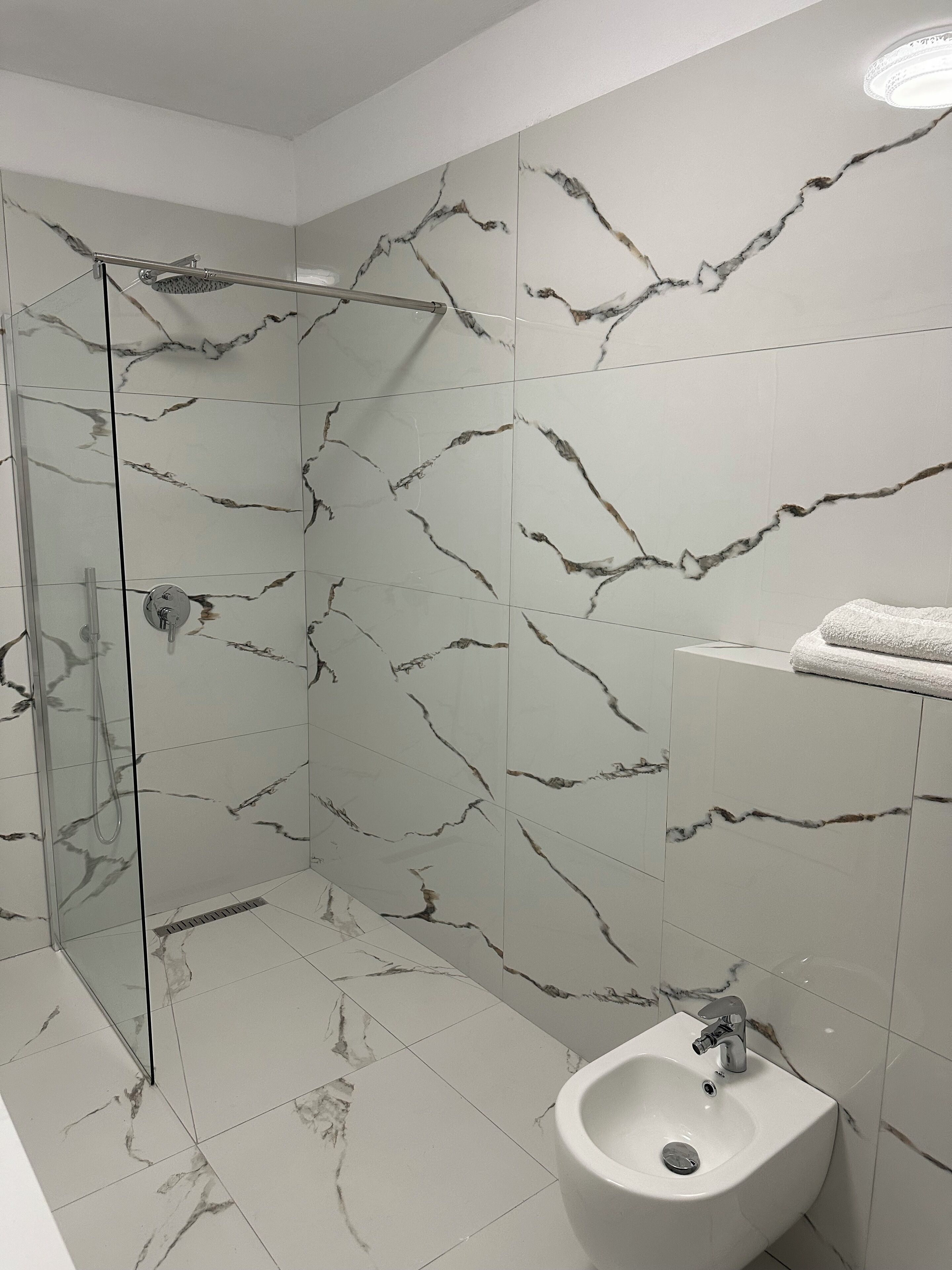 Shower, hair dryer, bidet, towels