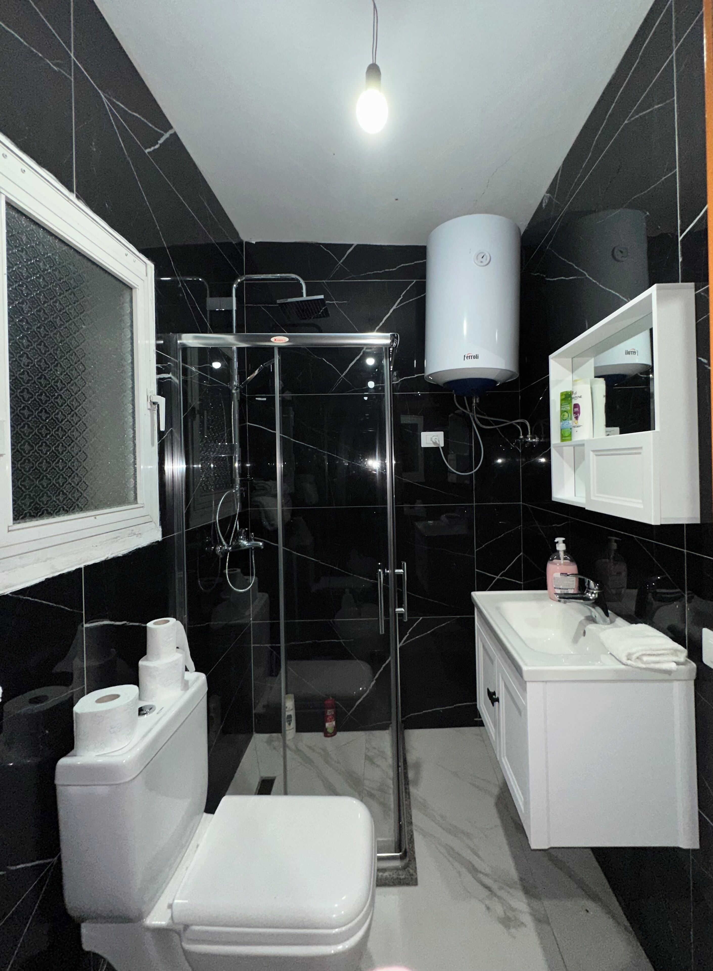 Shower, hair dryer, bidet, towels