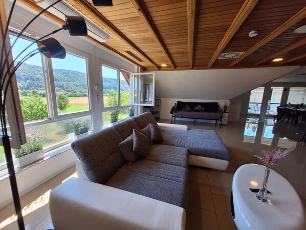 TV, DVD player, stereo - Apartment 'Pure Vista' with Black Forest View, Private Terrace and Wi-Fi (Laufenburg)