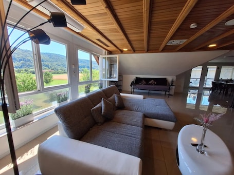 TV, DVD player, stereo. Apartment 'Pure Vista' with Black Forest View, Private Terrace and Wi-Fi