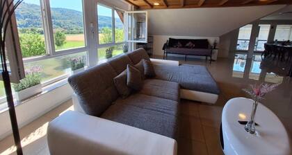 Apartment 'Pure Vista' with Black Forest View, Private Terrace and Wi-Fi