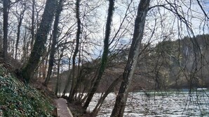 A white dog on a leash walking along a path beside a body of water, surrounded by trees and vegetation. - Apartment 'Pure Vista' with Black Forest View, Private Terrace and Wi-Fi (Laufenburg)