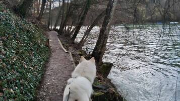 Jardines del alojamiento