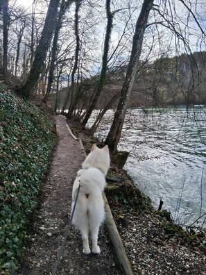 Área da propriedade