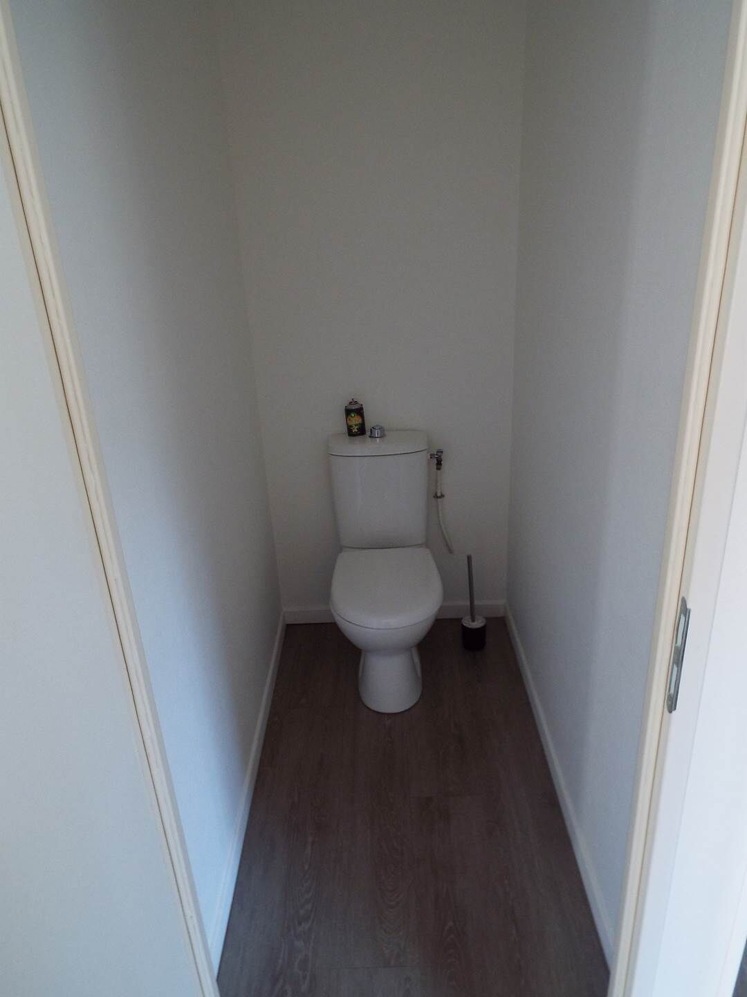 Une petite salle de bain étroite, avec des toilettes blanches, une brosse à toilettes et un porte-rouleau de papier toilette.