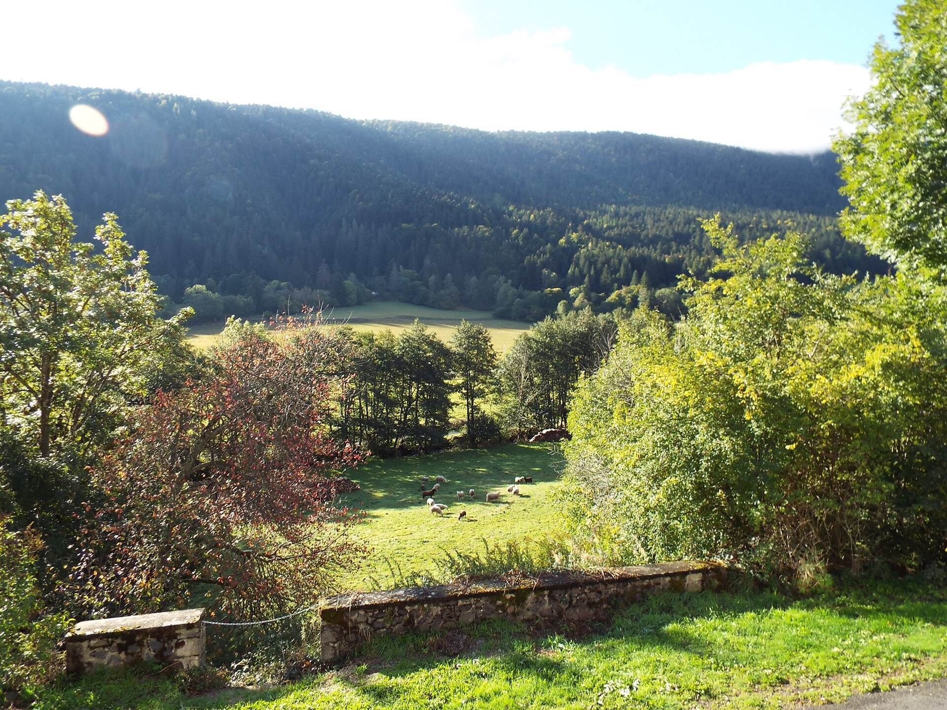A rural landscape with a stone wall, a grassy field, and trees.