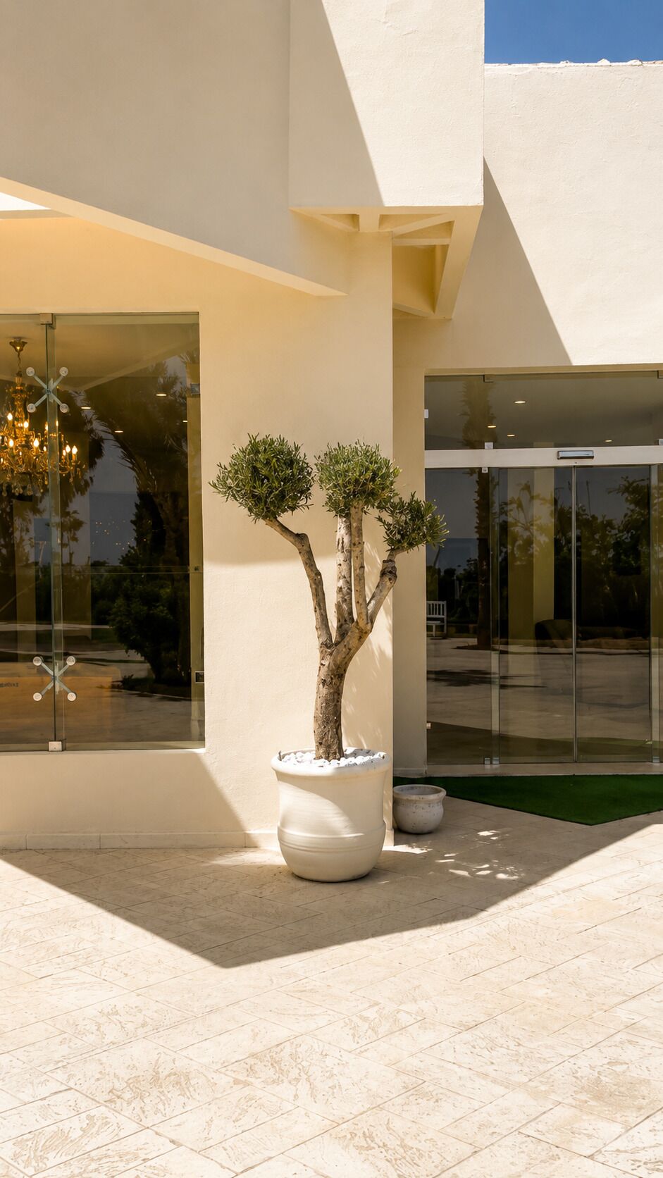 Un edificio moderno con un gran árbol en maceta, una entrada con puerta de cristal y un candelabro visible a través del vidrio.
