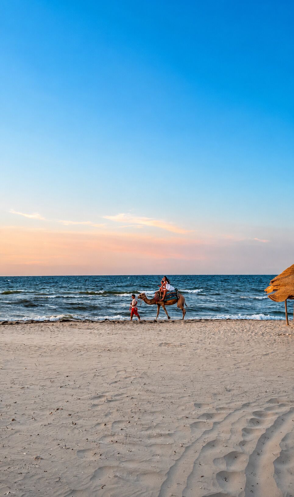 A beach scene with a camel and a person leading it, a clear sky, and the ocean in the background.