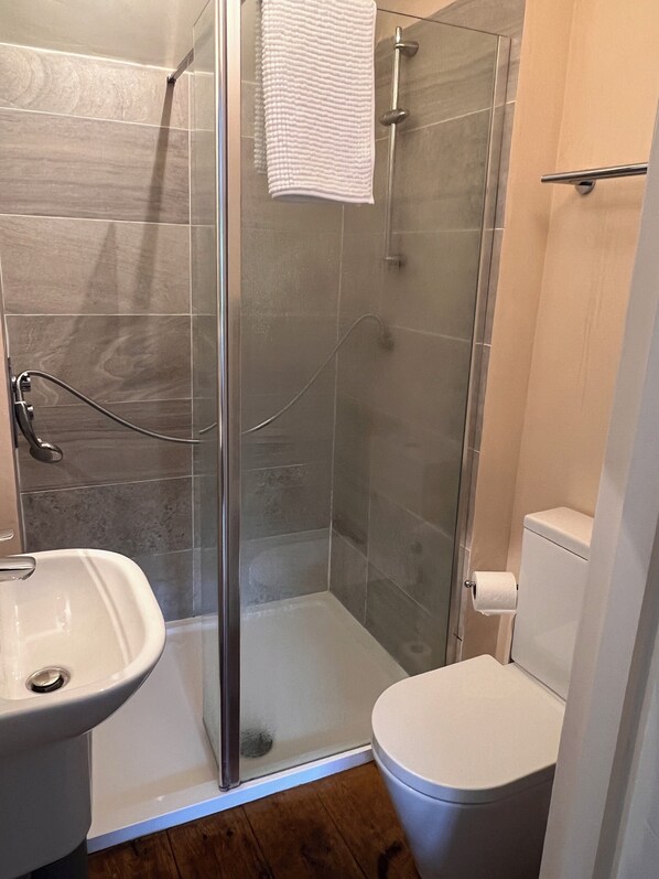 A modern bathroom with a glass shower enclosure, a white sink, and a toilet.