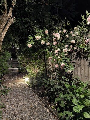 A garden pathway with gravel, surrounded by lush greenery and flowering plants, leading to a wooden gate. - Warm Montana Studio, Forest 1, 10' from downtown, (San Carlos de Bariloche)