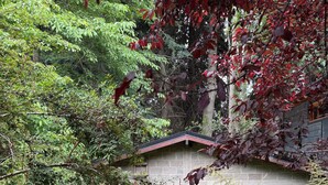 A stone house with a red door and windows, surrounded by lush greenery and trees. - Warm Montana Studio, Forest 1, 10' from downtown, (San Carlos de Bariloche)