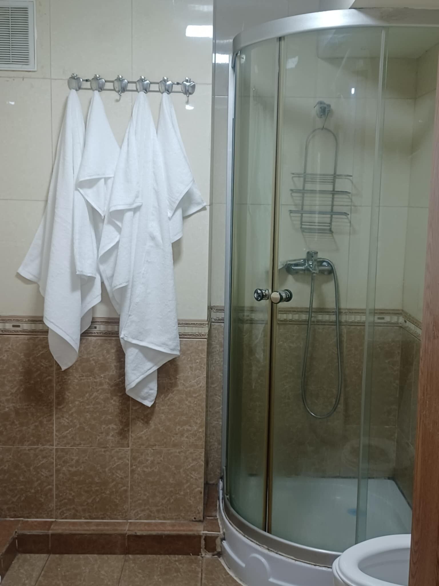Ducha, toallas, jabón y papel higiénico