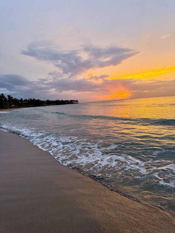 Camastros y toallas de playa