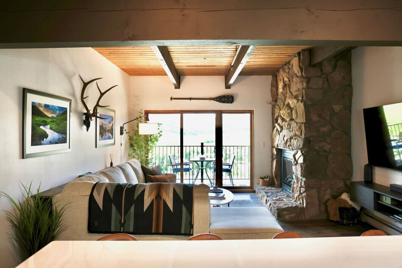 TV, fireplace, books