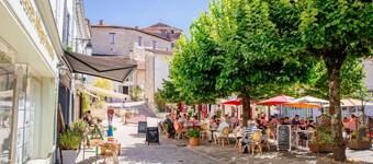 Townhouse with garden access!  Barque Fleurie and its 60s decor