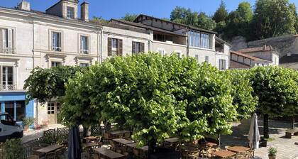 Barque Fleurie et son jardin privé