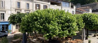 Barque Fleurie et son jardin privé