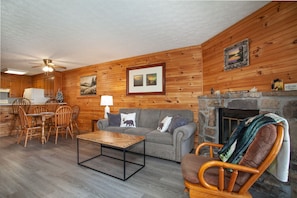 TV, fireplace