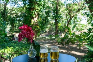 Terrain de l’hébergement 