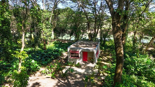 Stylish Jungle Cabin – Riverfront Retreat with Hammocks & Wi-Fi