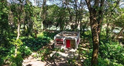 Stylish Jungle Cabin – Riverfront Retreat with Hammocks & Wi-Fi