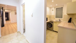 A modern kitchen with a washing machine, a sink, and a countertop. - Libra Apartment - Two Bedrooms - 5 Guests - Next To Cismigiu Gardens (Bucharest)
