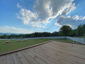 บริเวณภายนอก