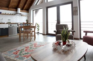 60-吋 LCD 液晶電視、衛星頻道、壁爐、地暖系統