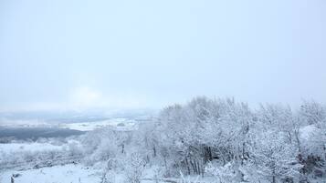 A snowy landscape with trees and a distant view of a town.