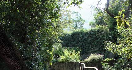 Villa Rosa in Marina di Maratea