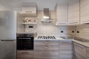 Fridge, oven, stovetop, dishwasher